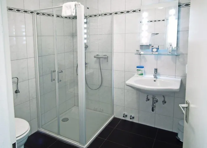 科布伦茨斯塔迪特酒店 3*