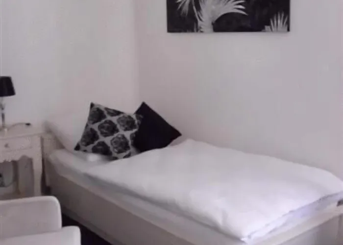 科布伦茨斯塔迪特酒店 3* Fachbach