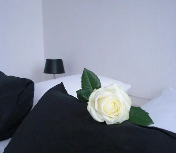 Stadt Coblenz Hotel 3*